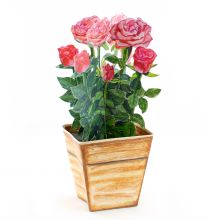 3D-Grusskarte Rose